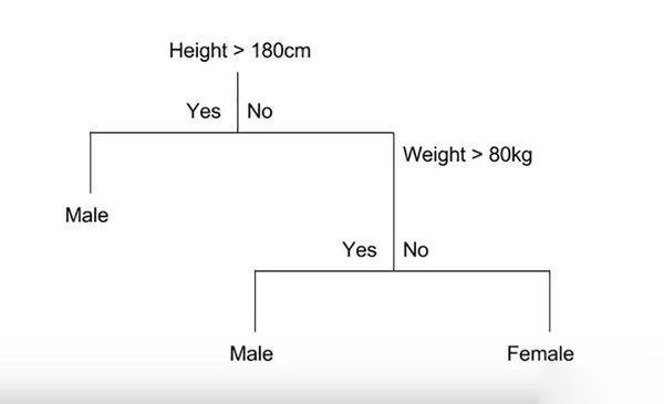 常見的機器學習算法