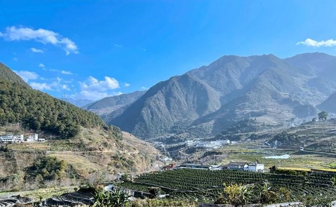 智慧農業 智慧農業