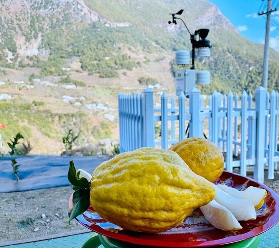 智慧農業 智慧農業