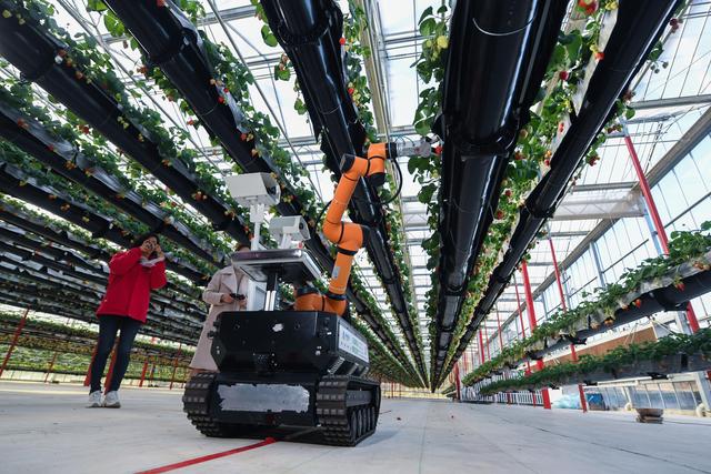 智慧農(nóng)業(yè)