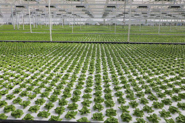 智慧農業 智慧農業