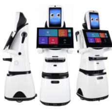 派寶迎賓機器人X3